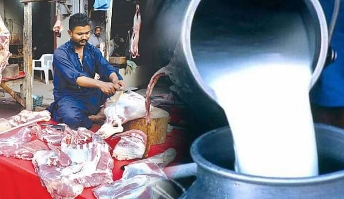 1492684 121852 updates