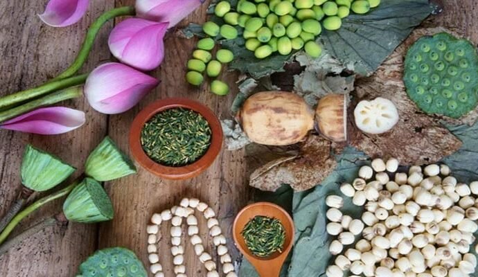 1492949 100301 updates