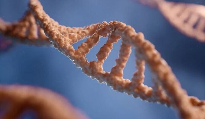 1494545 105814 updates