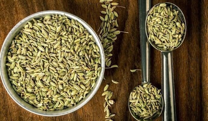 1495186 093511 updates