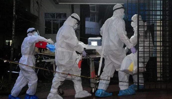 1495839 101558 updates