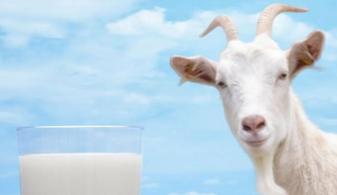 1495915 035707 updates