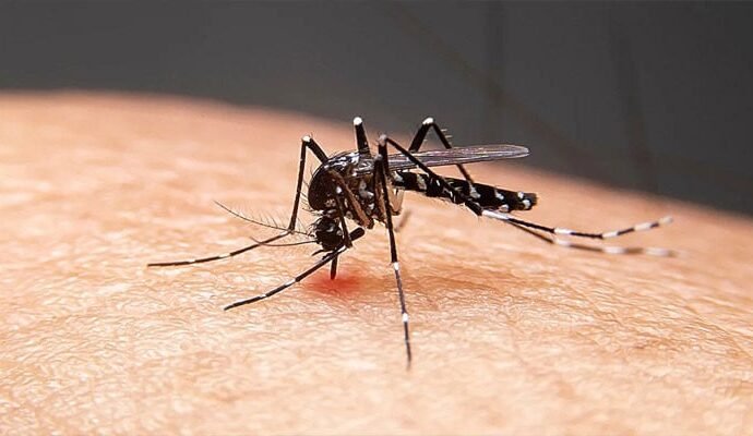 1496277 033133 updates