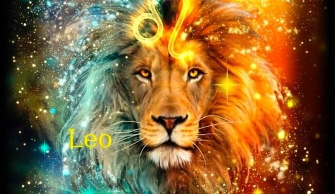 665976 113858 updates