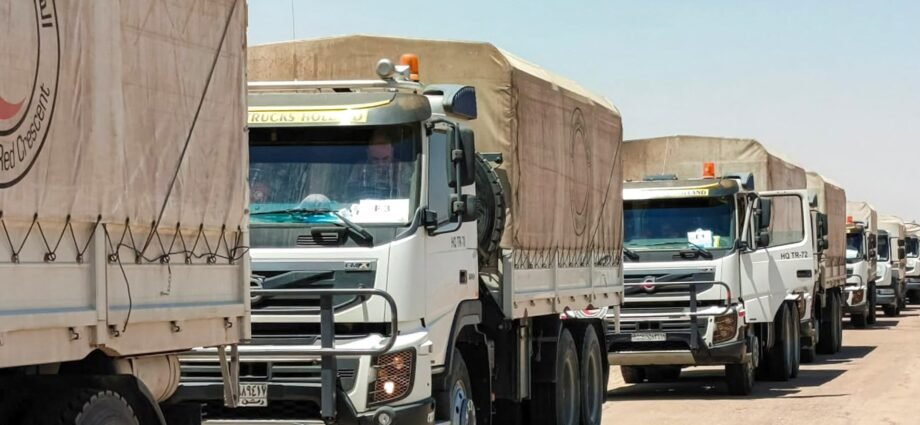 Aid arrives in Syria’s Suwayda as UN says humanitarian situation critical | Humanitarian Crises News