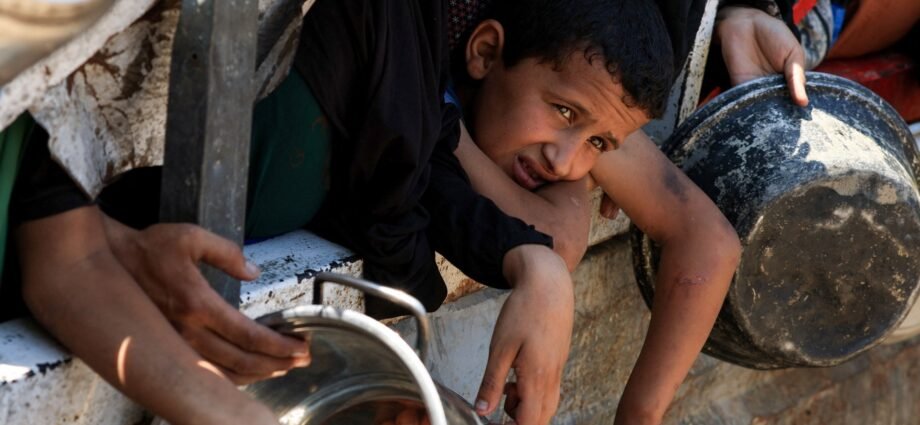 Israeli attacks, forced starvation kill more than 70 Palestinians in Gaza | Israel-Palestine conflict News