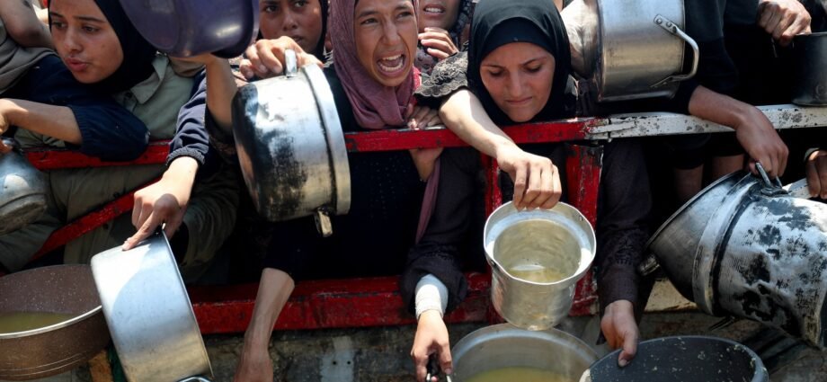 Israeli military begins daily ‘tactical pause’ in parts of starving Gaza | Israel-Palestine conflict News