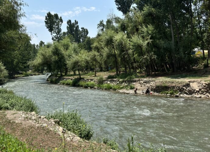 Otters spotted in Kashmir waters, and residents are both thrilled and wary | Wildlife News