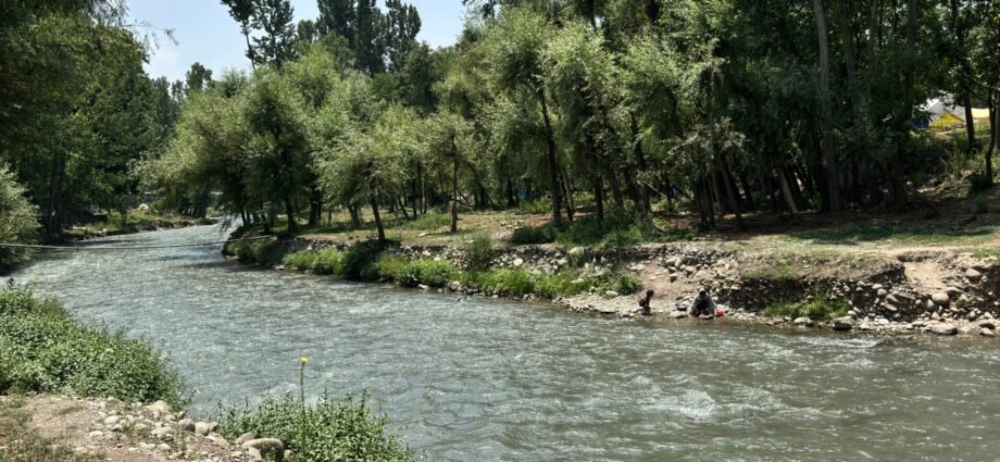 Otters spotted in Kashmir waters, and residents are both thrilled and wary | Wildlife News
