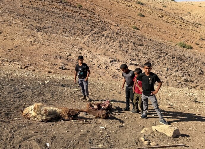 Palestinian child shot dead in West Bank by Israeli forces amid land grabs | Israel-Palestine conflict News
