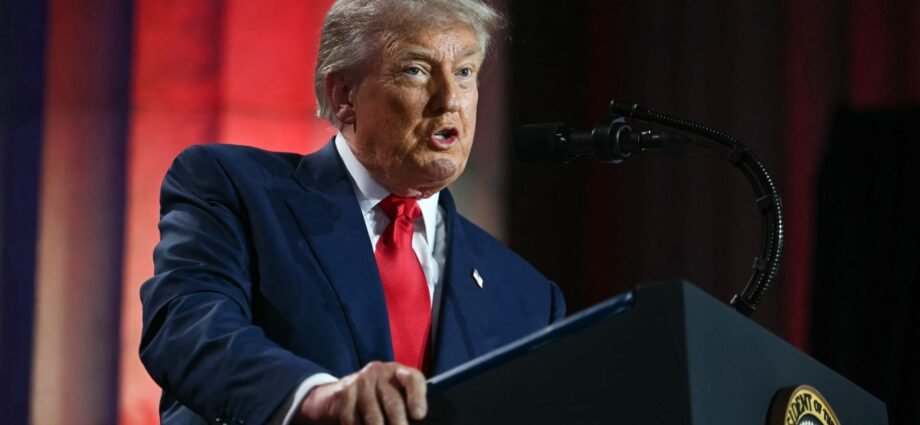 What Europe's response to a no-deal with Trump could look like