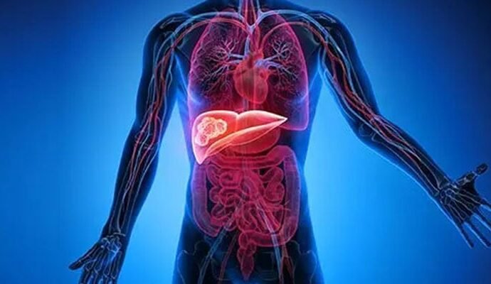 1496539 101954 updates