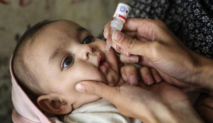 1497202 020606 updates