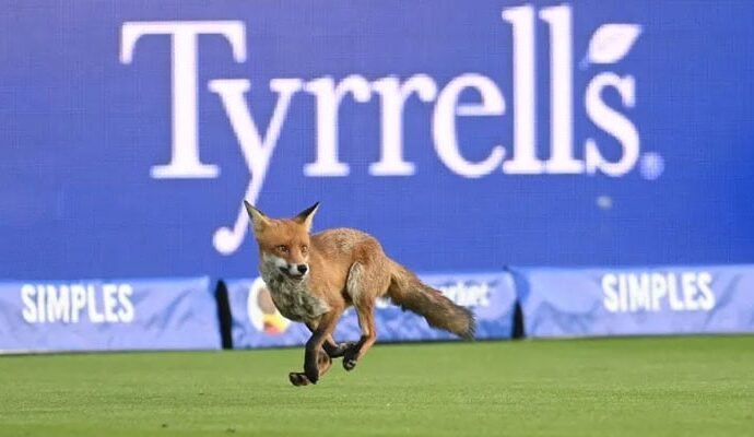 1498419 091237 updates