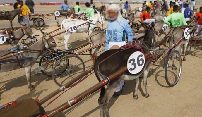 1499490 094046 updates