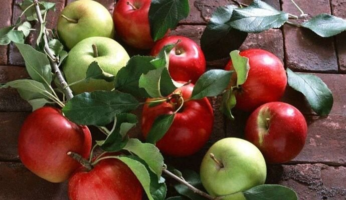 1499716 022409 updates