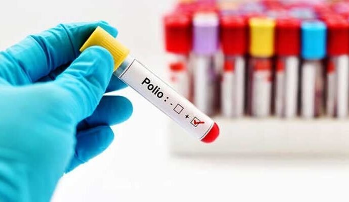 1500127 115553 updates