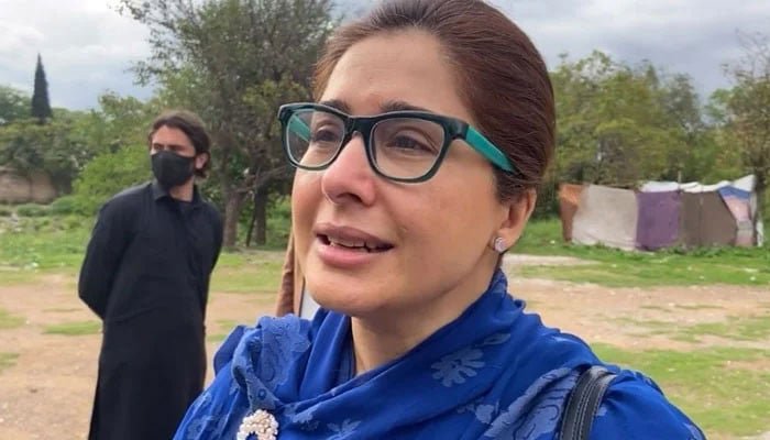 اللّٰہ کا شکر ہے میں سیاسی کمیٹی اور کور کمیٹی میں نہیں ہوں، شاندانہ گلزار 1 1502693 014337 updates