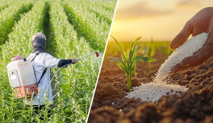 1503611 081348 updates