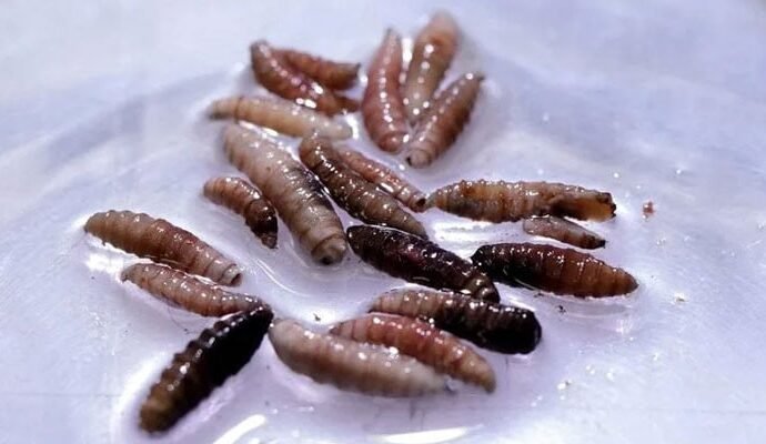 1503848 124254 updates