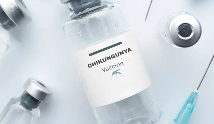 1503866 023724 updates