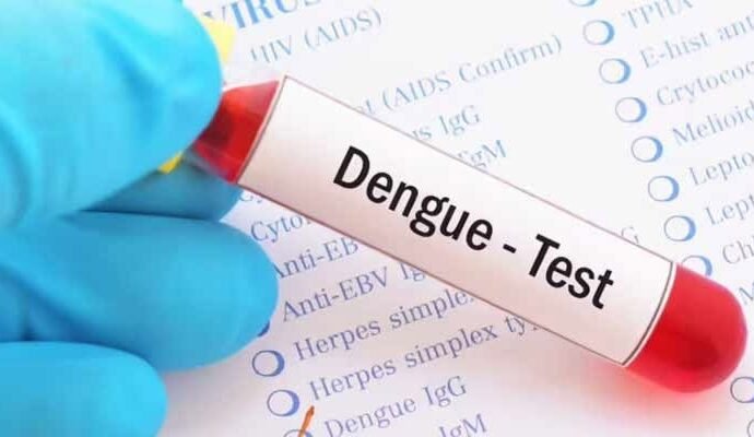 1504821 113639 updates