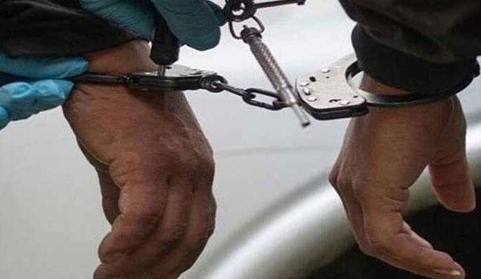 1504932 103206 updates