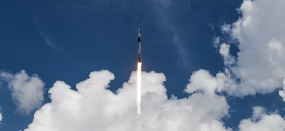 All aboard the SpaceX Mars express 1 All aboard the SpaceX Mars express