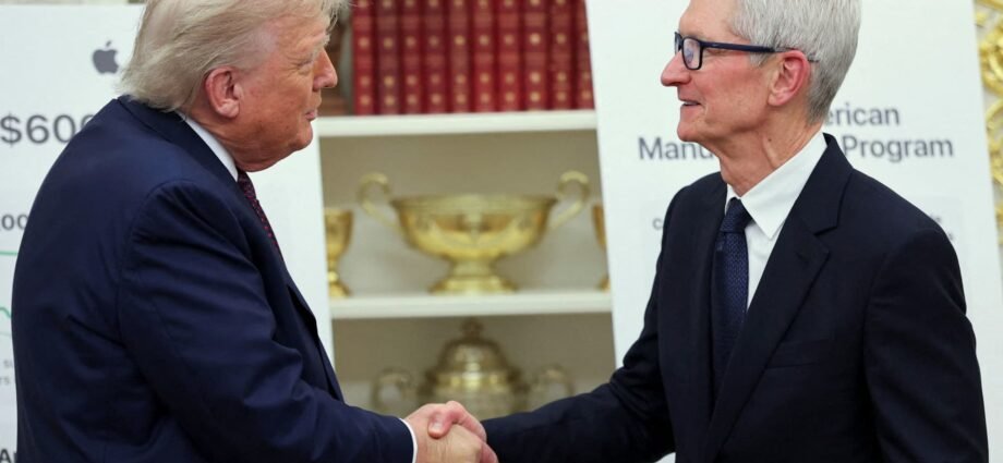 Apple has best week since July 2020 after Tim Cook's White House visit