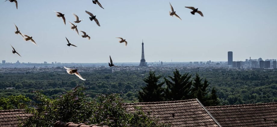 European markets open to close: Fed-Trump, French politics 1 European markets open to close: Fed-Trump, French politics