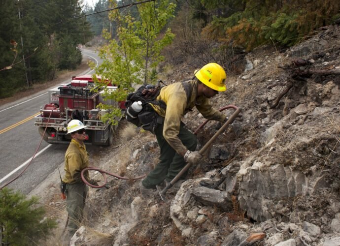 Firefighters tackling wildfire in US arrested by immigration agents | Migration News