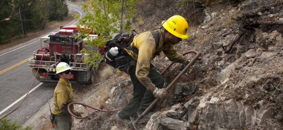 Firefighters tackling wildfire in US arrested by immigration agents | Migration News