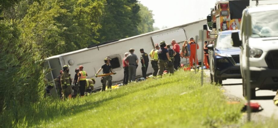 Foreign nationals among 5 killed in New York state tour bus crash | Transport News