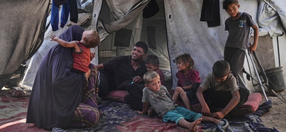 Gaza family’s battle for survival as hunger and heat deepen despair | Israel-Palestine conflict News