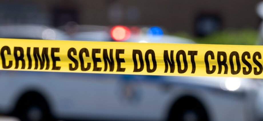 Manhunt for ex-US soldier suspected of killing 4 in Montana bar | Gun Violence News
