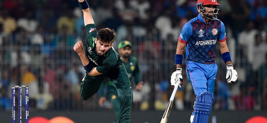 Pakistan and Afghanistan pen UAE T20 tri-series before Asia Cup | Cricket News