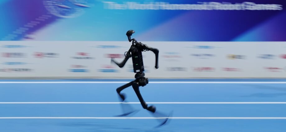 Tesla Optimus rival Unitree shines at China's world robot games