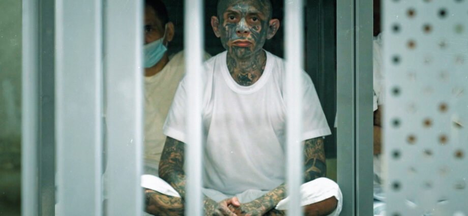 The Cost of Control | Civil Rights