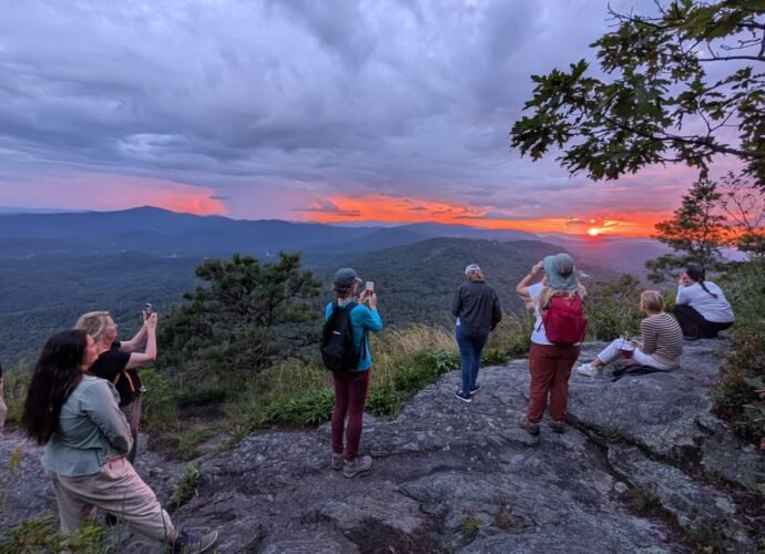 The Japanese art of 'forest bathing' can improve focus, lower stress