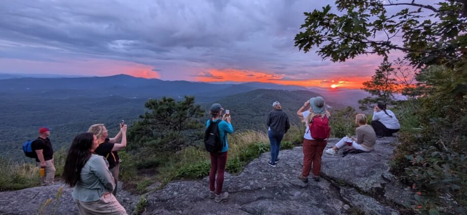 The Japanese art of 'forest bathing' can improve focus, lower stress 1 The Japanese art of 'forest bathing' can improve focus, lower stress