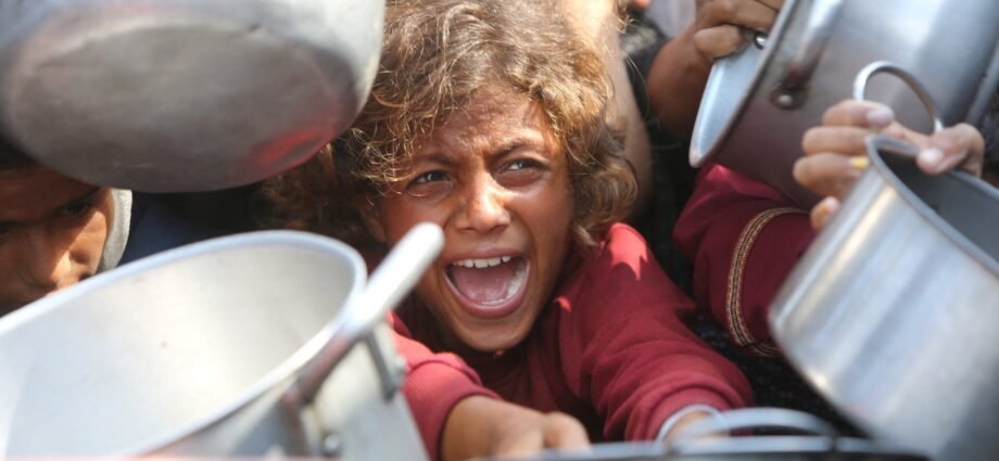 What has led to a famine being confirmed in Gaza? | Israel-Palestine conflict News 1 What has led to a famine being confirmed in Gaza? | Israel-Palestine conflict News