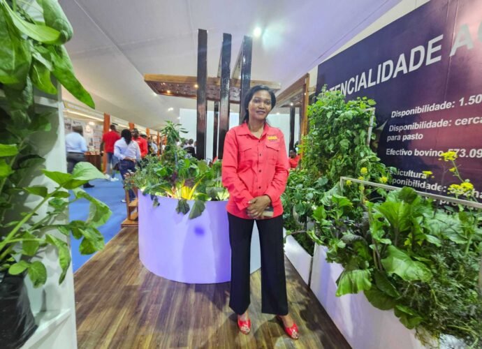 ‘Food, jobs, hope’: Mozambique seeks investment route to economic recovery | Business and Economy News