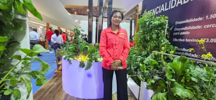 ‘Food, jobs, hope’: Mozambique seeks investment route to economic recovery | Business and Economy News 1 ‘Food, jobs, hope’: Mozambique seeks investment route to economic recovery | Business and Economy News