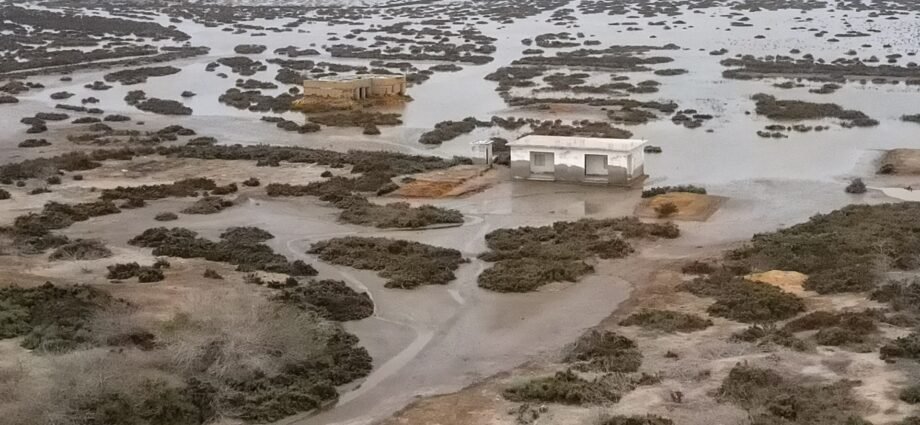 ‘Water has surrounded us’: The slow death of Pakistan’s Indus delta | Climate Crisis News