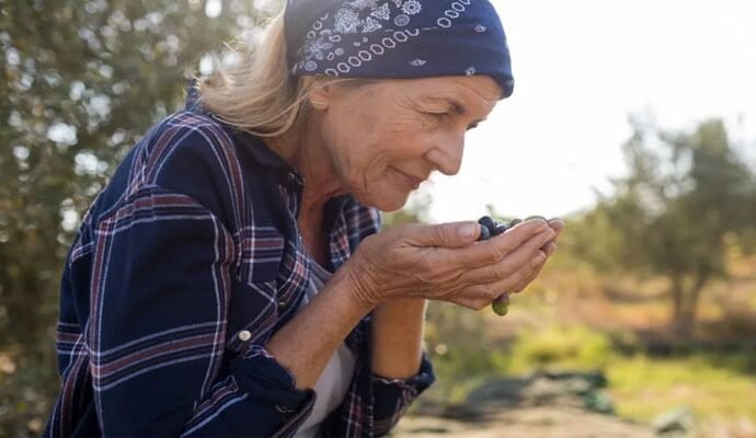 1506500 115401 updates