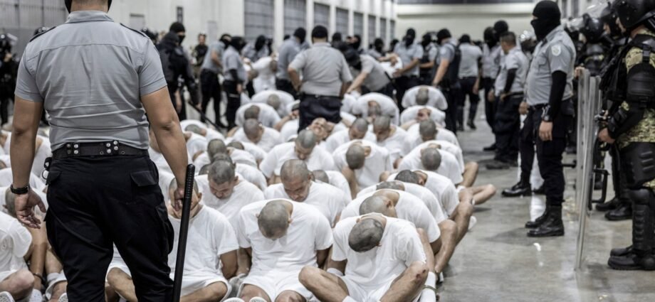 What did a US court rule on Tren de Aragua deportations? | Drugs News