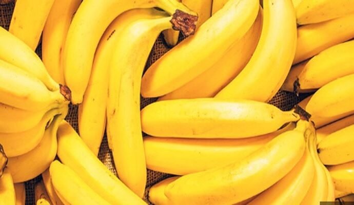 1517612 105837 updates