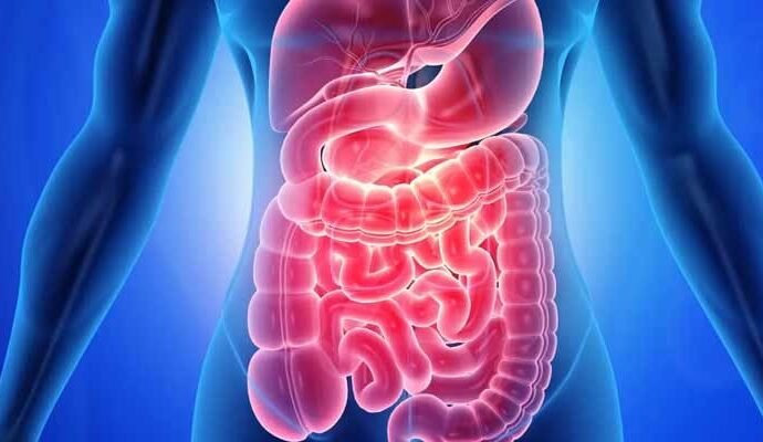 1518596 103703 updates