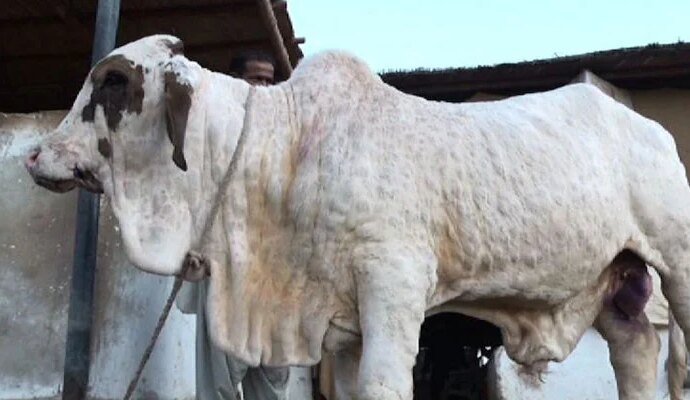 1519385 085629 updates