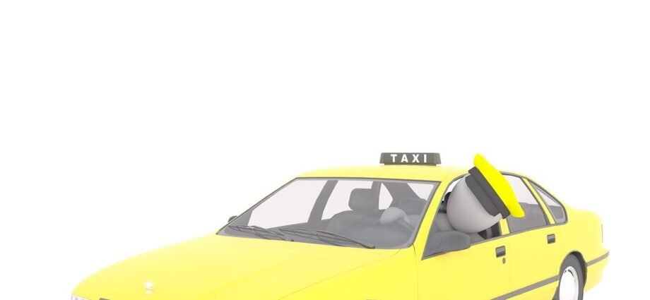 The Honest Taxi Driver 1 Driver